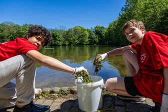 Junge Leute packen zum Aktionstag kräftig zu: Naturbad Grünhain wird flott gemacht - Joshua Díaz (l.) und Leon Essig haben das Naturbad in Grünhain von Schwemmpflanzen gereinigt.