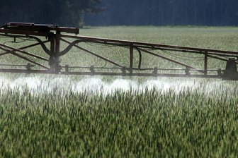 Leopoldina: EU-Vorschläge für Pestizide gefährden Gesundheit - Ein Landwirt versprüht Pflanzenschutzmittel über ein Roggenfeld.